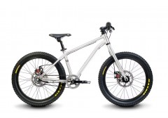 Велосипед детский Early Rider Belter brushed 20'' Trail 3