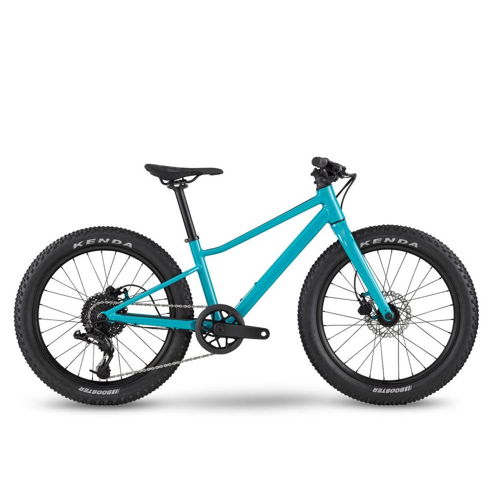 Велосипед детский BMC Twostroke AL 20 V2 X4 1x8 Turquoise/Black/White 
