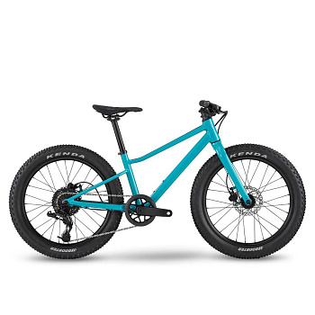 Велосипед детский BMC Twostroke AL 20 V2 X4 1x8 Turquoise/Black/White 