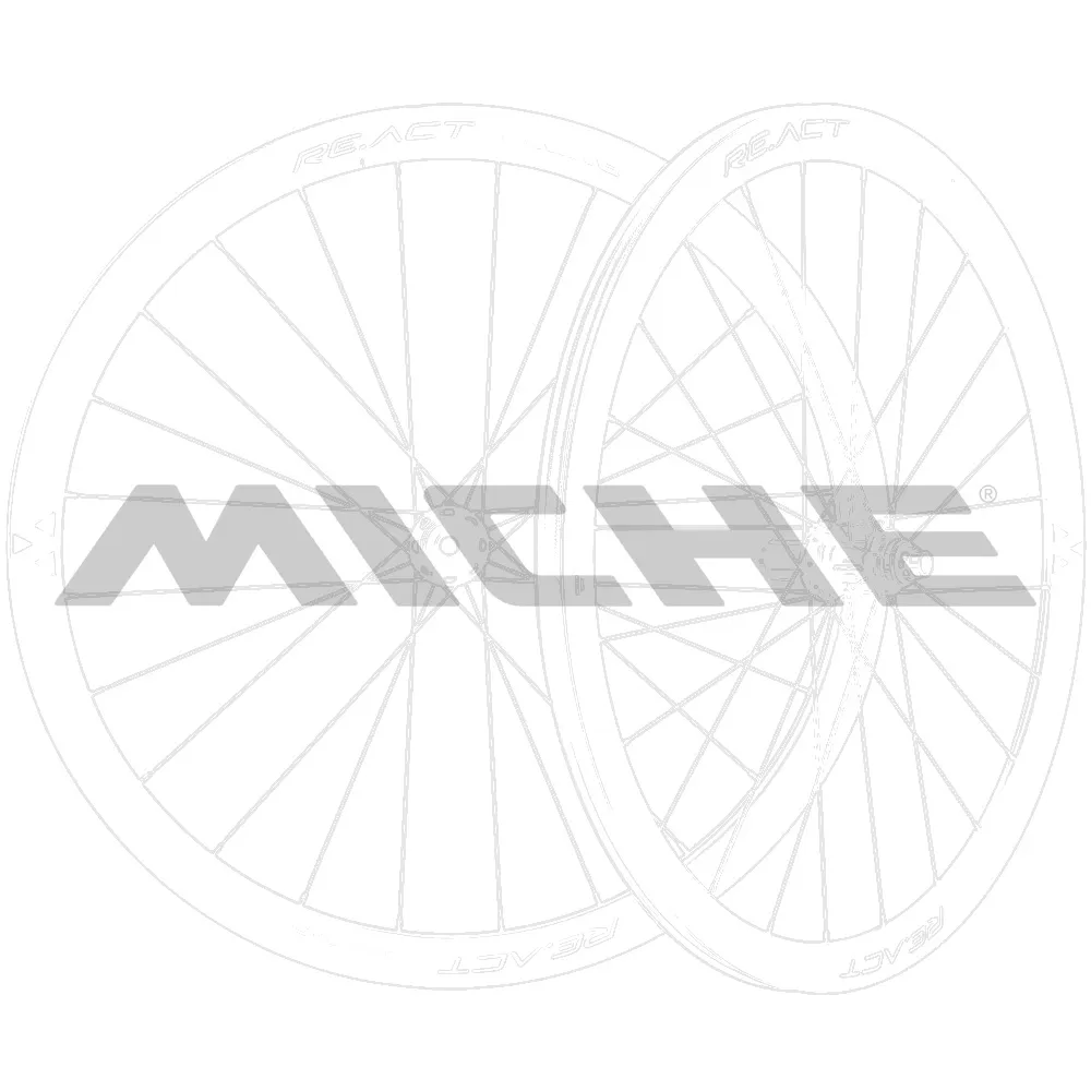 Спица Miche REVOX задн.